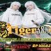 TigerGacor388 Bandar QRIS Online Resmi Cepat Aman